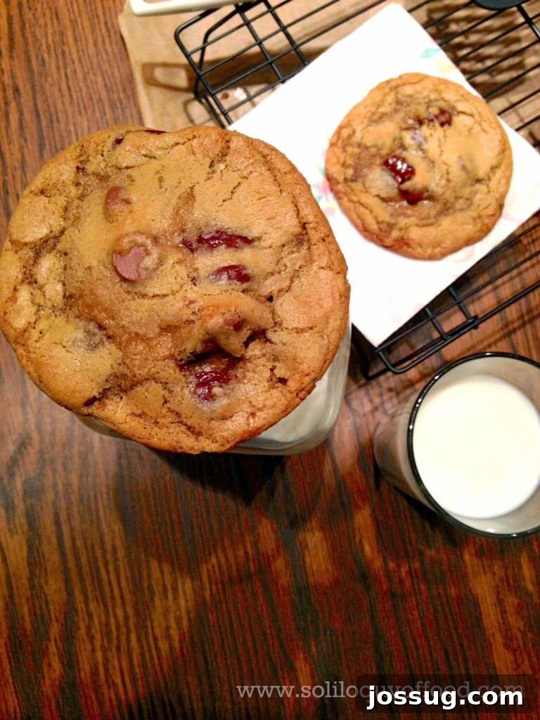 A close-up shot of a single golden-brown chocolate chip cookie resting on a wire rack, showcasing its inviting texture.