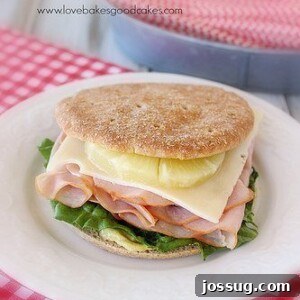 Ham, Swiss and Pineapple Sandwich