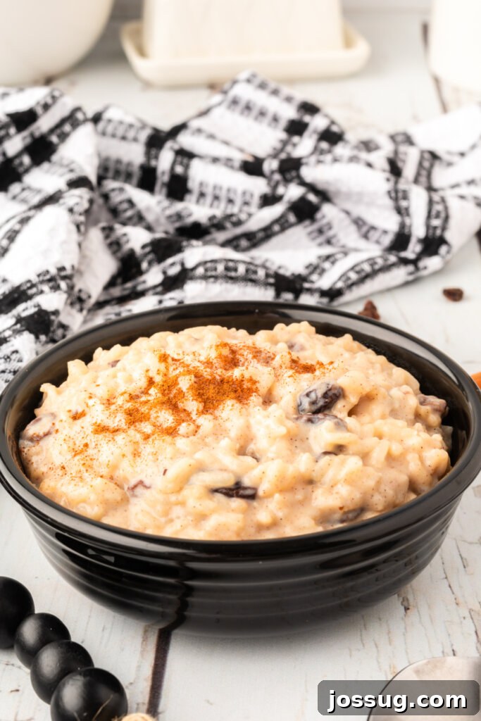 Creamy Rice Pudding Delight 2 A dark bowl filled with creamy Arroz con Leche, garnished with a sprinkle of cinnamon, ready to be enjoyed.