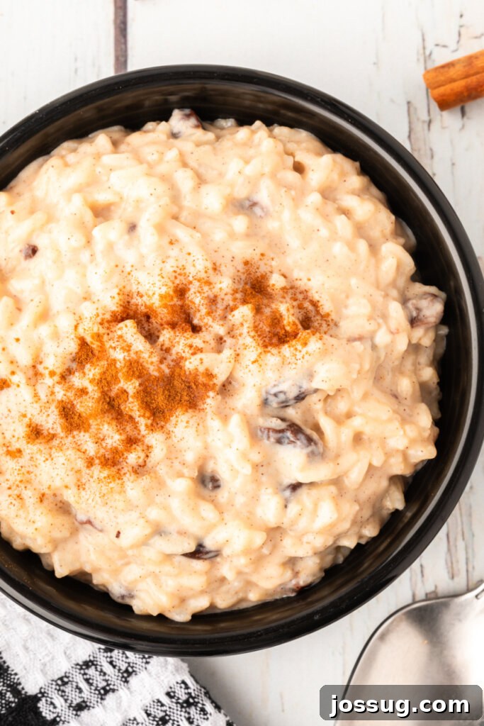 Creamy Rice Pudding Delight 3 A comforting close-up shot of creamy rice pudding in a black bowl, highlighting its rich texture and warmth.