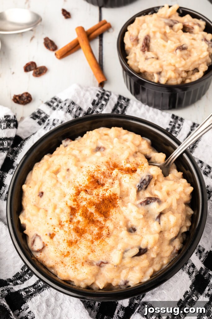 Creamy Rice Pudding Delight 4 An overhead view of a bowl of Arroz con Leche, beautifully sprinkled with cinnamon, inviting a delightful taste.