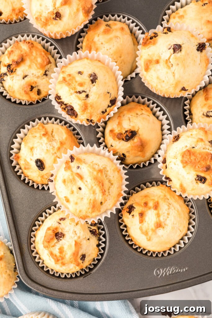 Emerald Isle Bites 3 irish soda muffins in muffin tin