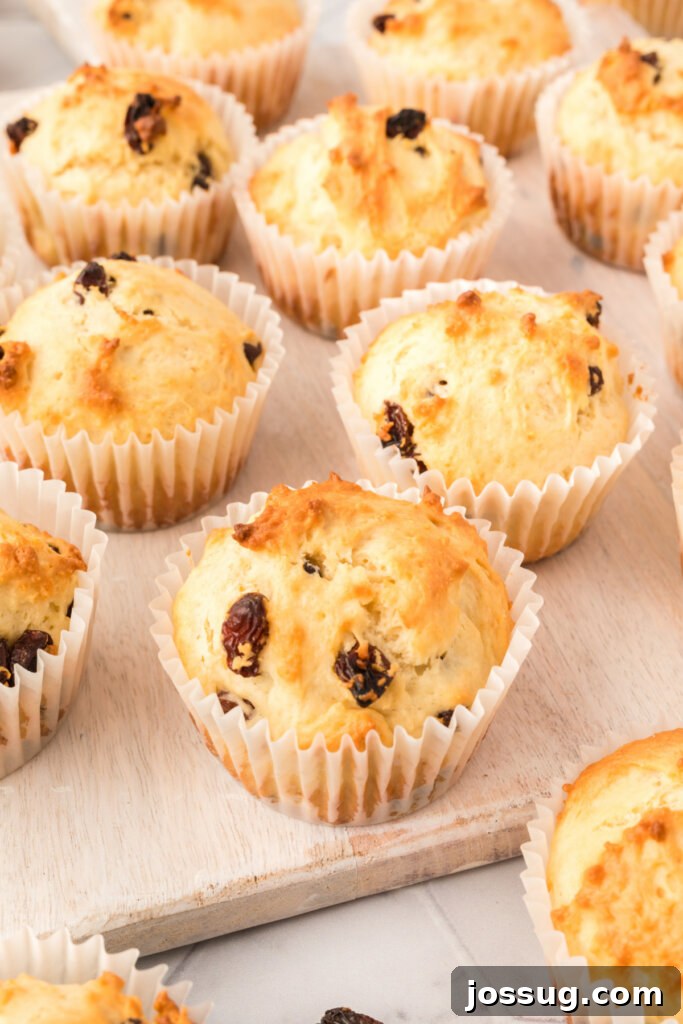 Emerald Isle Bites 4 irish soda muffins on table