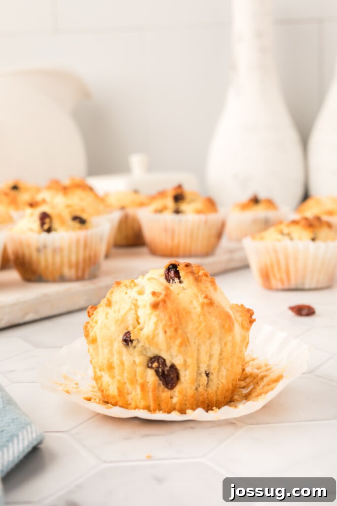 Emerald Isle Bites 5 irish soda muffins with the paper wrapper pulled down off the muffin