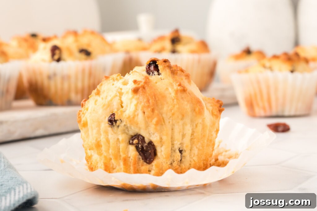 Emerald Isle Bites 6 unwrapped irish soda muffin on table