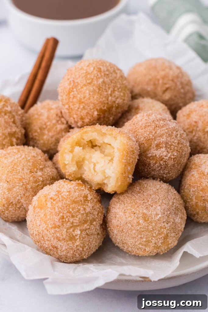 Poppable Churros 2 churros poppers piled on a plate, glistening with cinnamon sugar