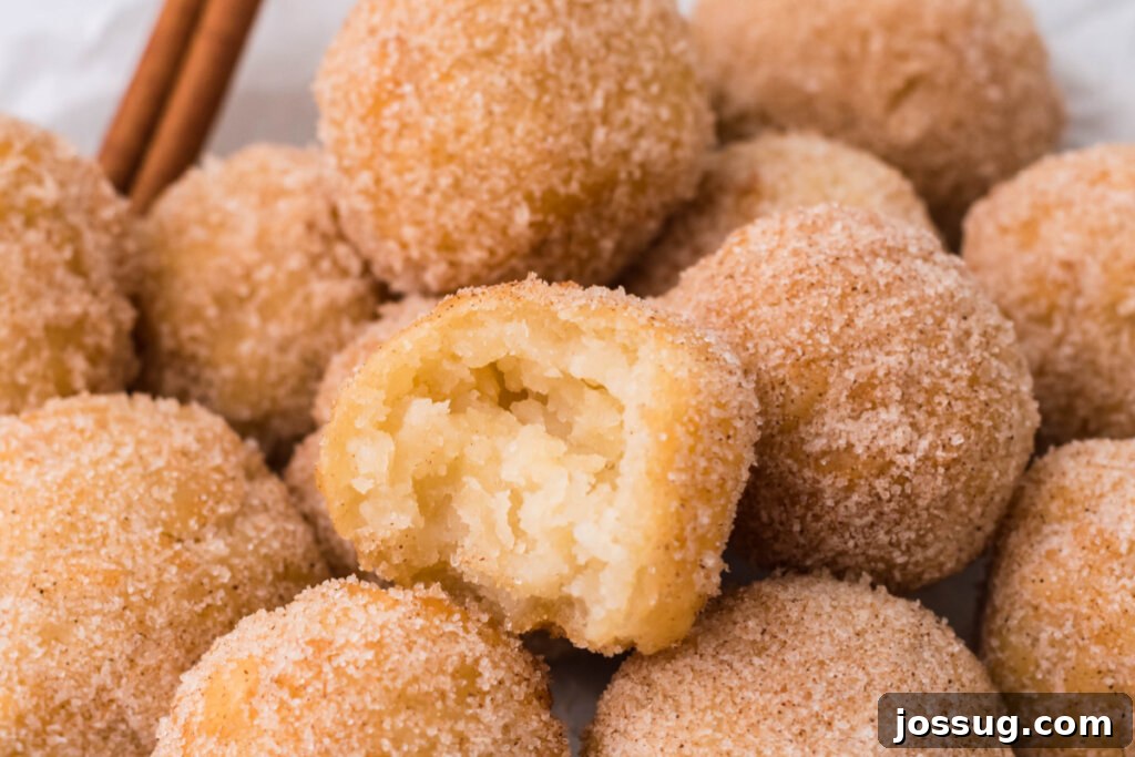 Poppable Churros 5 balls of cinnamon-sugary goodness, Churros Poppers, artistically stacked on a serving plate