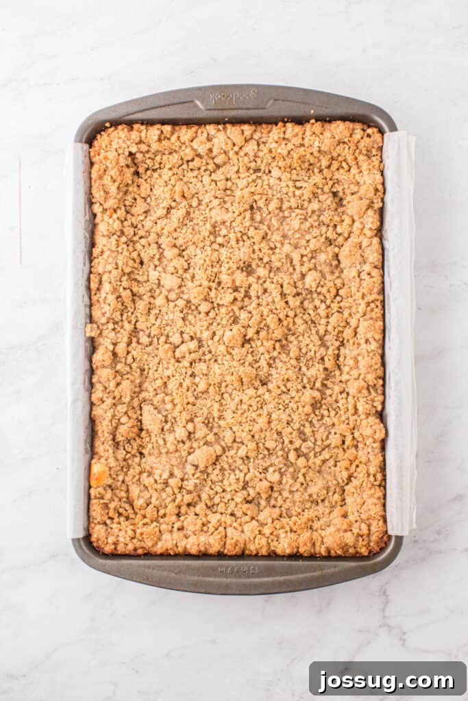 Baked caramel apple cheesecake bars cooling in the pan, showing a golden brown, irresistible crumb topping.
