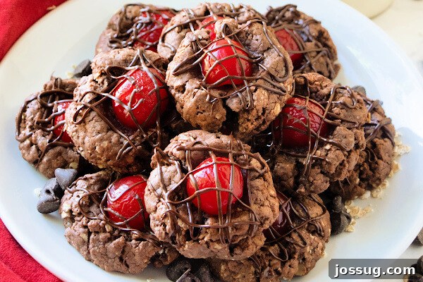 Decadent Chocolate Cherry Thumbprints 9 Neatly stacked Chocolate Cherry Thumbprints Cookies on a white plate, ready to be enjoyed