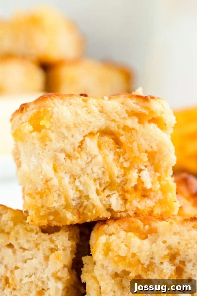 Stacked Cheddar Butter Swim Biscuits highlighting moist, cheesy inside and crisp golden edges, ready to be served.