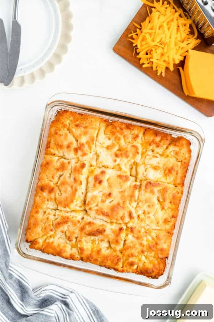 Freshly baked Cheddar Butter Swim Biscuits in a glass pan, golden brown and perfectly cut into squares, with extra shredded cheddar on the side.