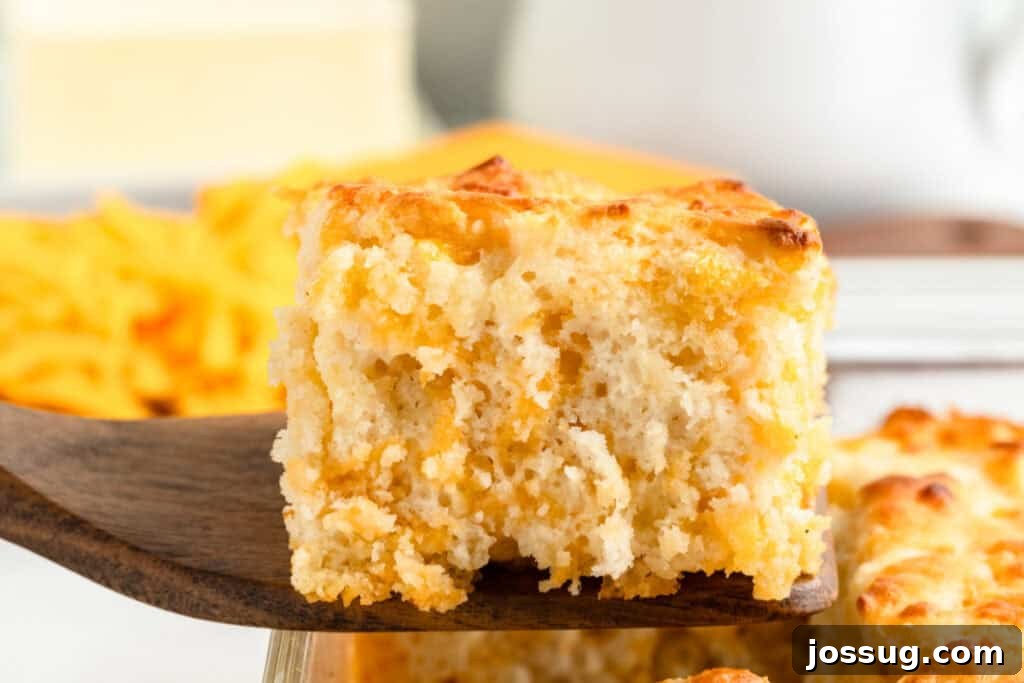 A single warm Cheddar Butter Swim Biscuit being gently lifted from the pan with a spatula, revealing its golden-brown crust and tempting cheesy layers.