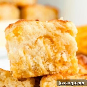 Close-up square crop of a Cheddar Butter Swim Biscuit with a golden top and cheesy center, showcasing its delicious texture.