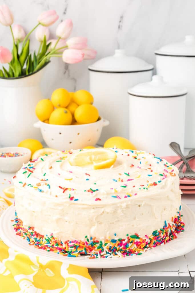 Whimsical Lemon Sprinkle Cake 2 whole decorated lemon funfetti cake on plate