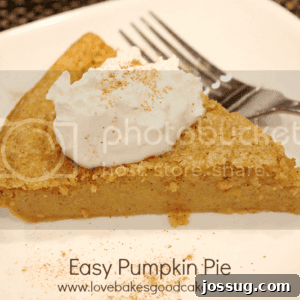 A perfectly sliced piece of Easy Pumpkin Pie on a white plate, ready to be enjoyed.