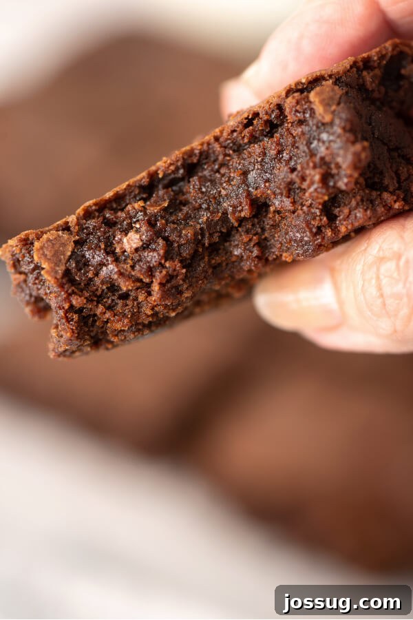 Foolproof Homemade Chocolate Brownies 8 Hand holding a perfect fudgy chocolate brownie, ready to be enjoyed