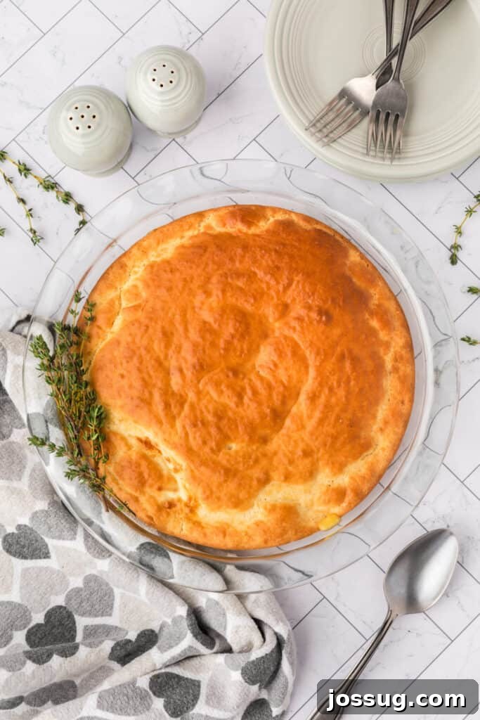 Golden brown baked Chicken Biscuit Pot Pie fresh from the oven.