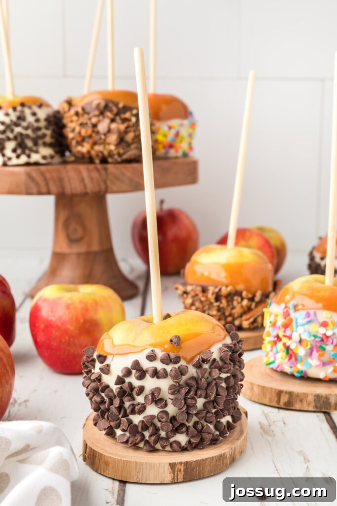 A close-up of a gourmet caramel apple with chocolate chips and chocolate drizzle.