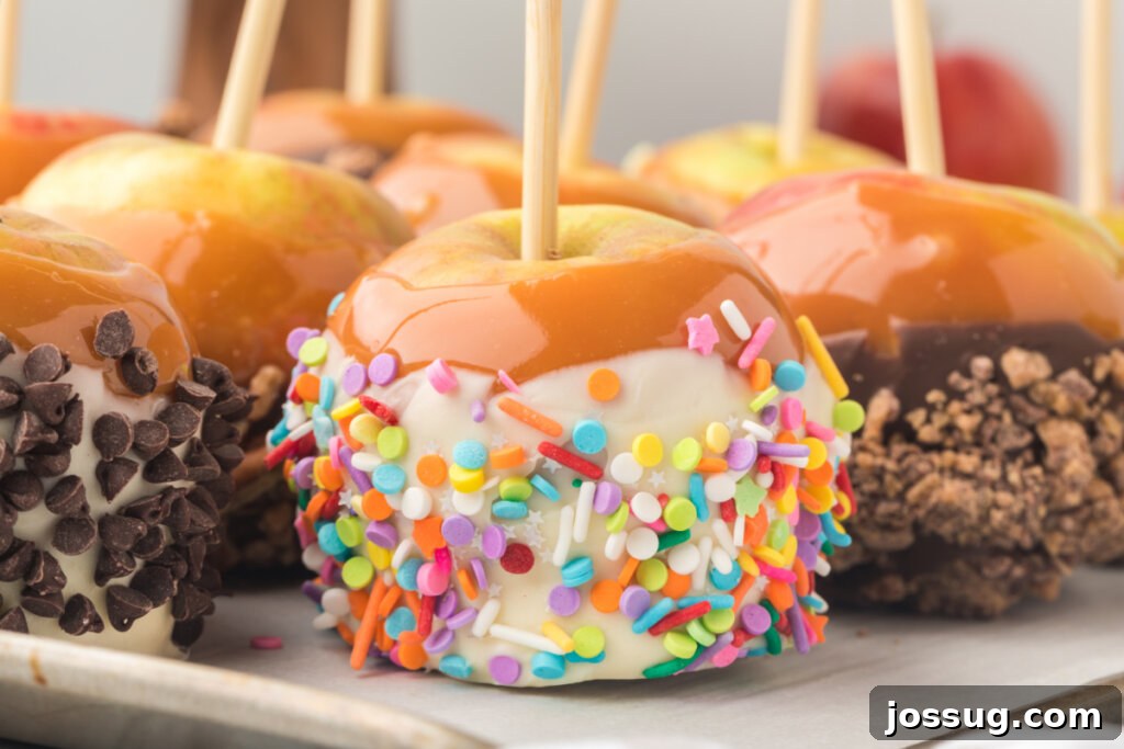 A close-up view of an assortment of beautifully decorated gourmet apples, highlighting their diverse toppings.