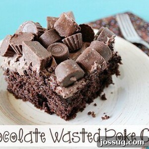 Chocolate Wasted Poke Cake