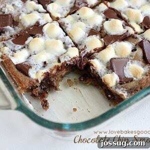 Chocolate Chip S'mores Bars