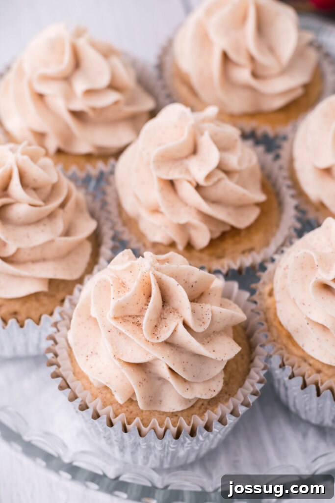 Overhead view of perfectly baked and frosted Snickerdoodle Cupcakes