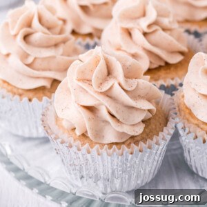 closeup of snickerdoodle cupcakes with cinnamon frosting