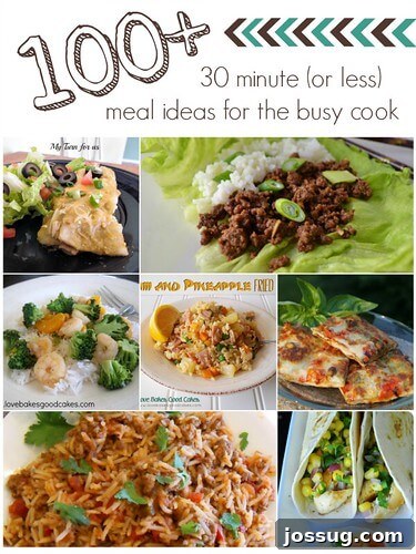 100+ Speedy 30-Minute Recipes for Time-Strapped Cooks 2 100+ 30 Minute (or less) Meal Ideas for the Busy Cook collage showcasing various quick dinner options.