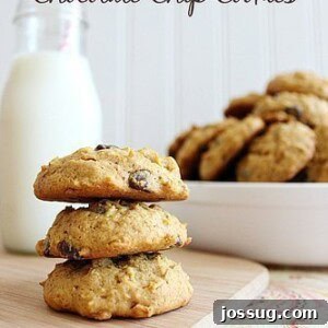 Pumpkin Oatmeal Chocolate Chip Cookies