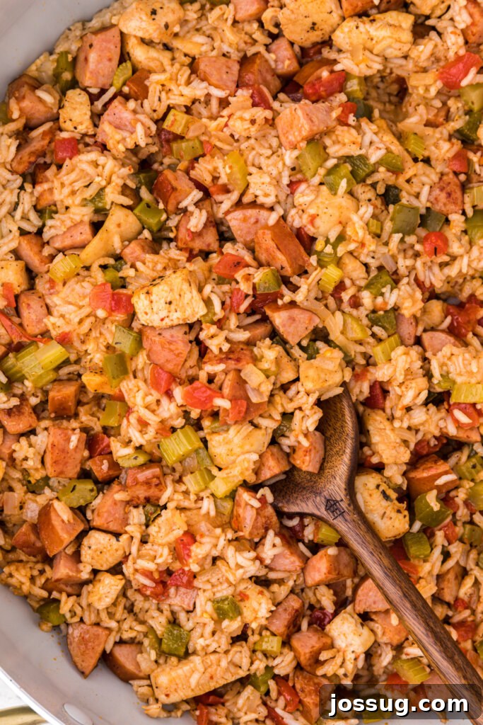 Southern Soul Pot 4 looking down into skillet with jambalaya