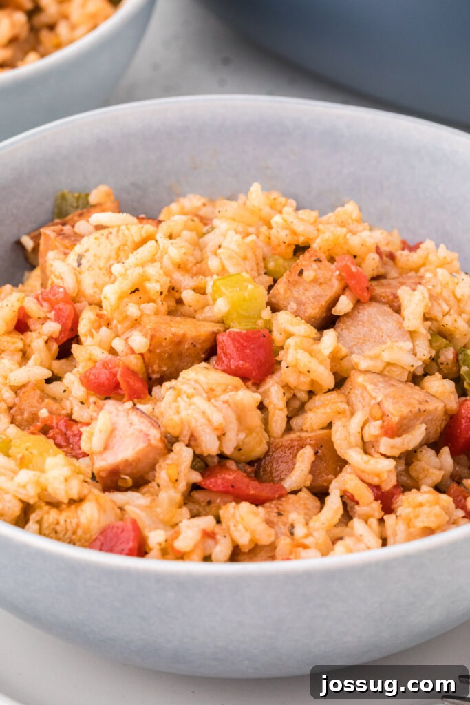 Southern Soul Pot 5 single serving of jambalaya in bowl