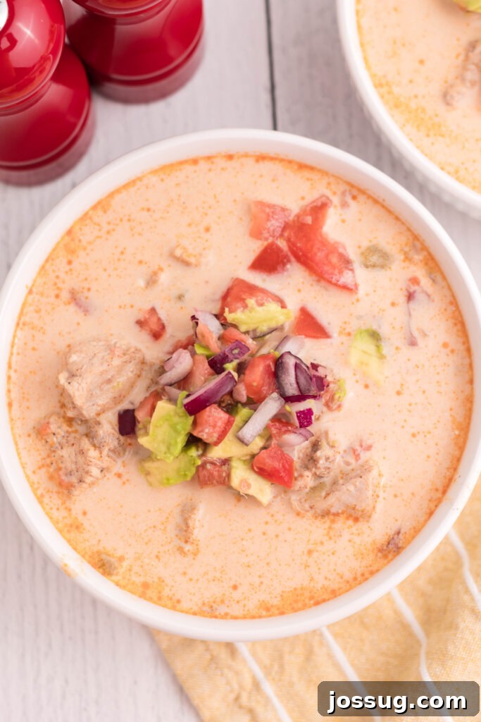 Southwestern King Ranch Chicken Soup 3 Overhead shot of a bowl of King Ranch Chicken Soup, showcasing its rich texture and toppings.