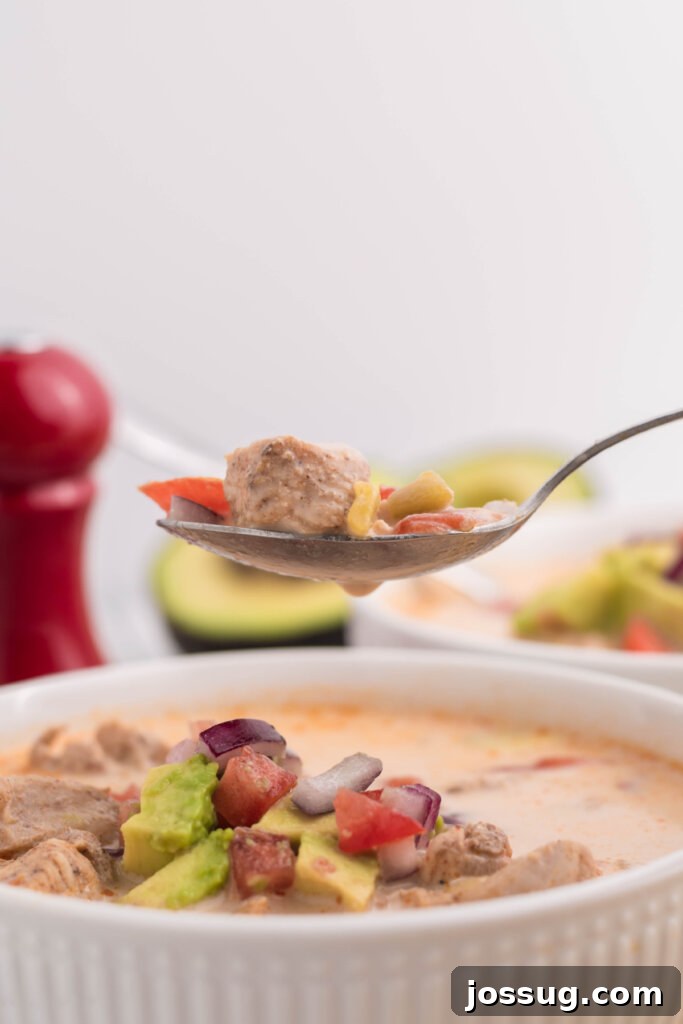 Southwestern King Ranch Chicken Soup 4 A spoon lifting a delicious spoonful of King Ranch Chicken Soup from a bowl.