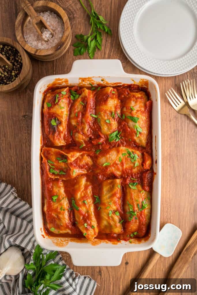 Overhead view of a white casserole dish filled with cabbage rolls in tomato sauce, on a wooden table with herbs and salt bowls.