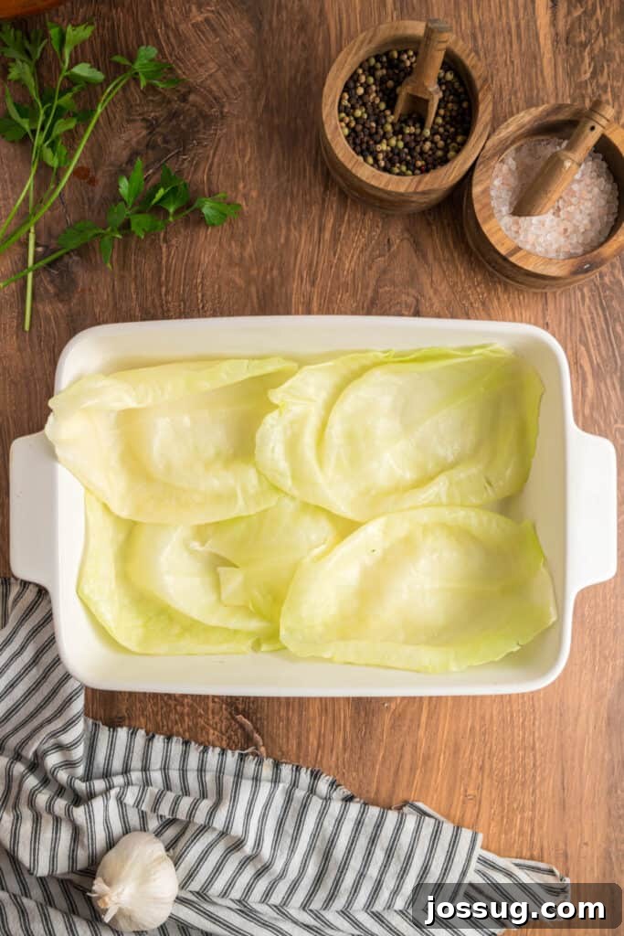 Layer of blanched cabbage leaves arranged in the bottom of a white baking dish to create a base.