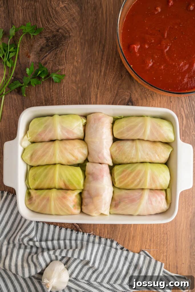 Unbaked cabbage rolls arranged neatly in a white casserole dish, ready for sauce.