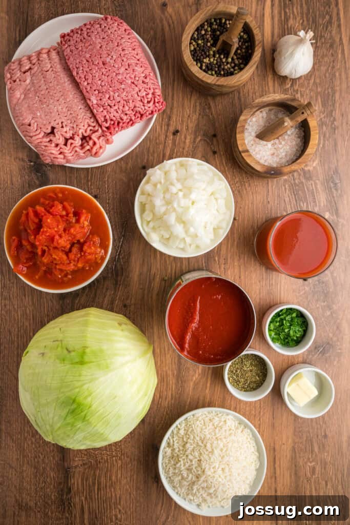 Overhead view of Cabbage Rolls ingredients including ground beef, pork, cabbage, rice, diced tomatoes, onions, tomato sauce, and seasonings.