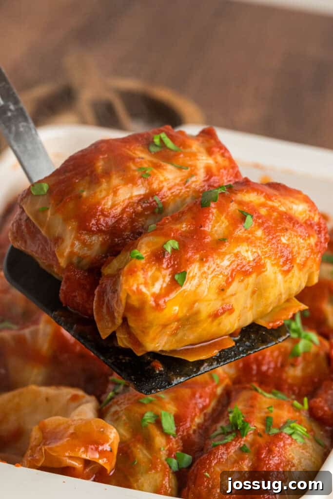 Spatula lifting two stuffed cabbage rolls from a casserole dish, coated in tomato sauce and garnished with chopped parsley.