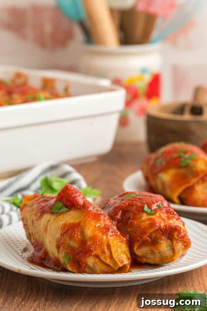 Two cabbage rolls plated with tomato sauce on a white plate, with the casserole dish blurred in the background.