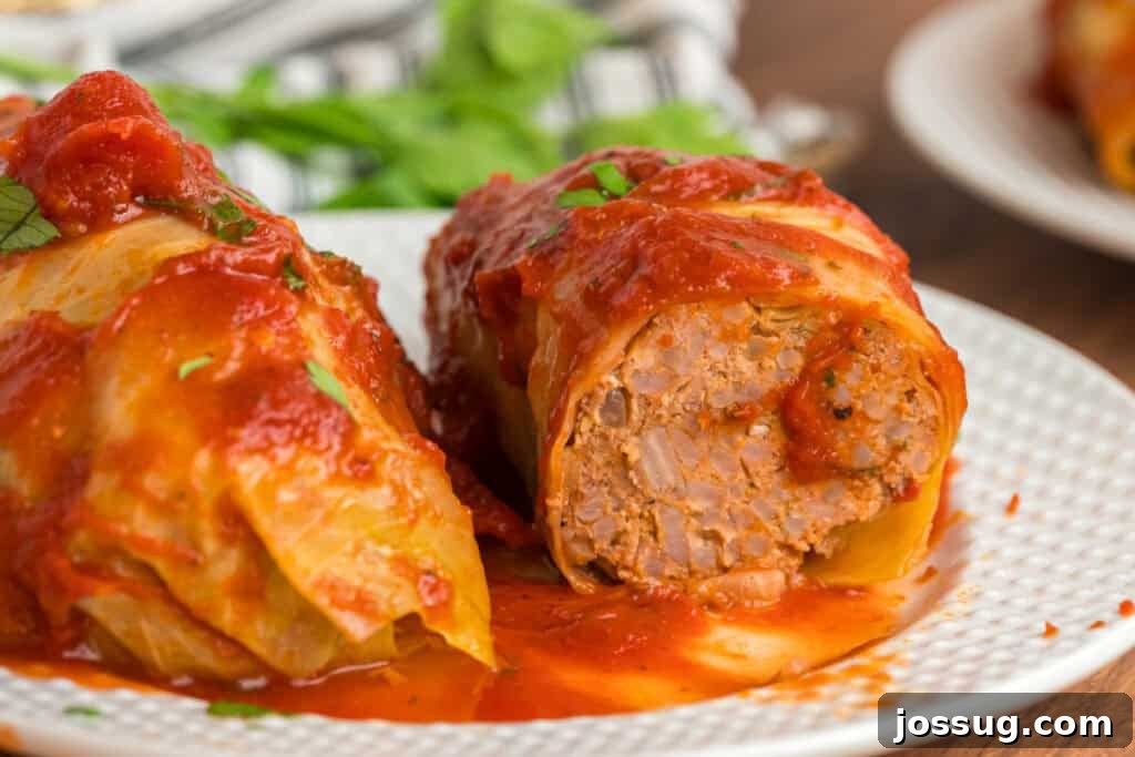 Close-up of a cabbage roll cut in half on a white plate, showing the savory beef, pork, and rice filling topped with tomato sauce.