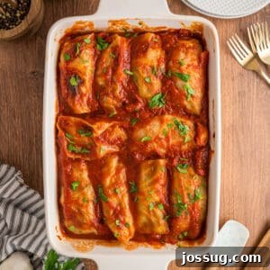 Square crop of cabbage rolls baked in tomato sauce, topped with parsley in a white baking dish on a rustic wooden table.
