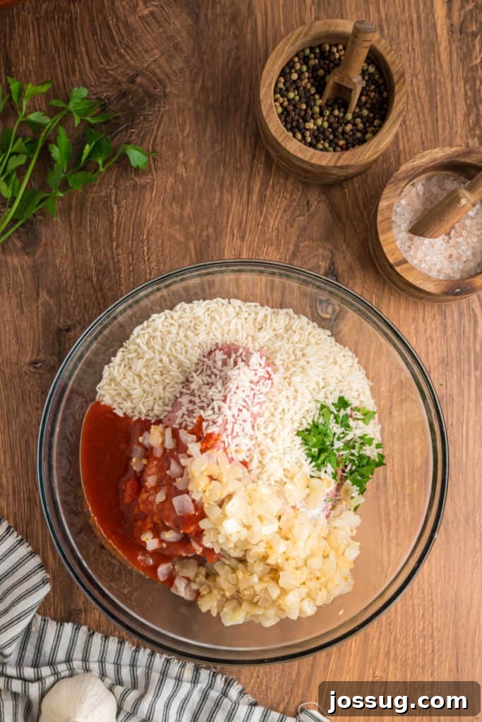 Ground meat, rice, sautéed onions, parsley, and sauce combined in a mixing bowl, ready to be stirred together.