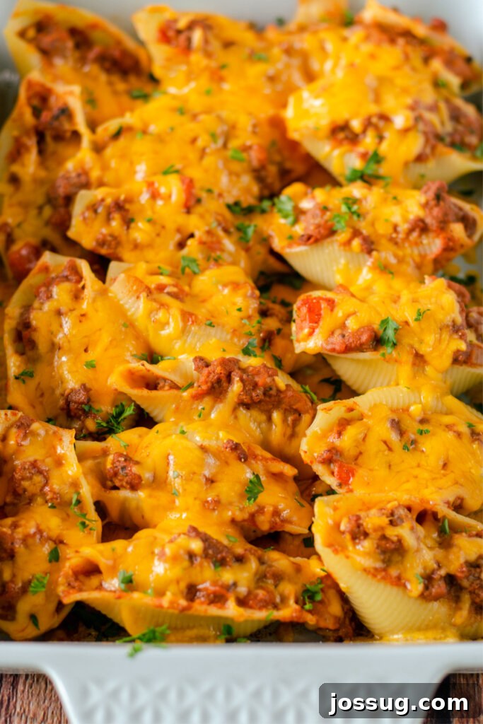 Baked enchilada stuffed shells in a casserole dish, topped with melted cheese.