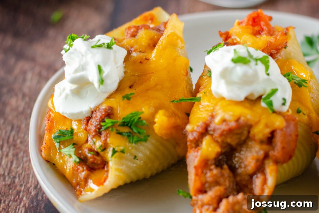 Two perfectly cooked enchilada stuffed shells on a plate, garnished with fresh cilantro.