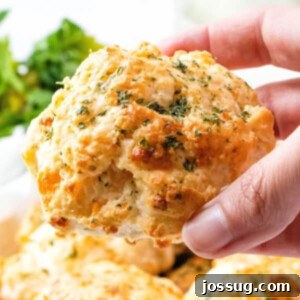 Freshly baked Copycat Red Lobster Cheddar Bay Biscuits with melted garlic butter on top, ready to serve.