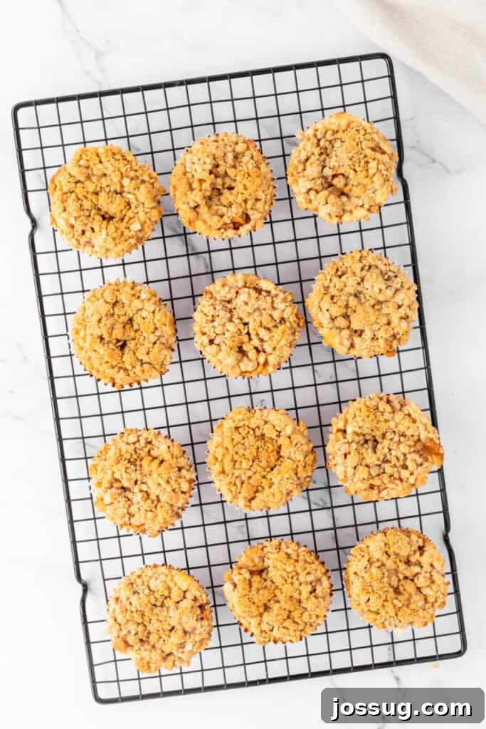 Spiced Apple Crumble Cheesecake Delights 16 A batch of freshly baked Mini Apple Crumble Cheesecakes cooling on a wire rack, with their golden-brown and crisp oat crumble toppings beautifully visible, indicating perfect doneness.
