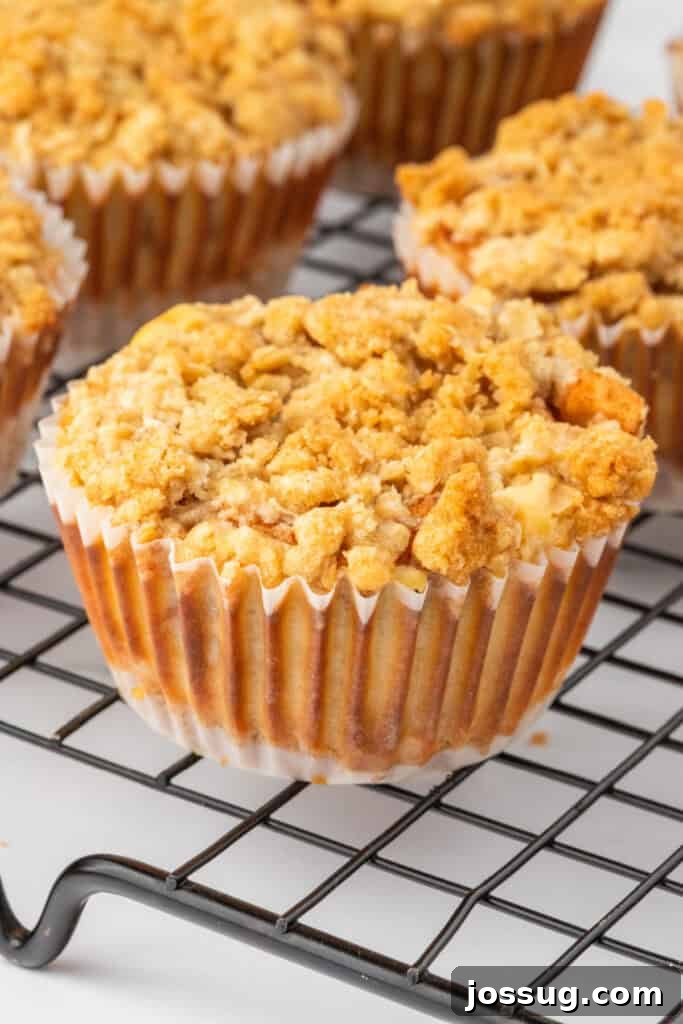 Spiced Apple Crumble Cheesecake Delights 17 A close-up view of a single Mini Apple Crumble Cheesecake resting on a wire cooling rack, highlighting its perfectly baked, crumbly oat topping and inviting golden hue.