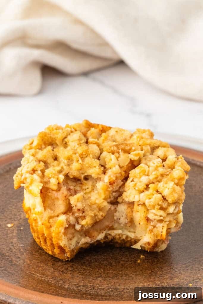Spiced Apple Crumble Cheesecake Delights 18 A Mini Apple Crumble Cheesecake with a small bite taken out, clearly revealing the distinct layers of the creamy cheesecake, tender spiced apple filling, and the crunchy graham cracker crust below, all in one perfect bite.