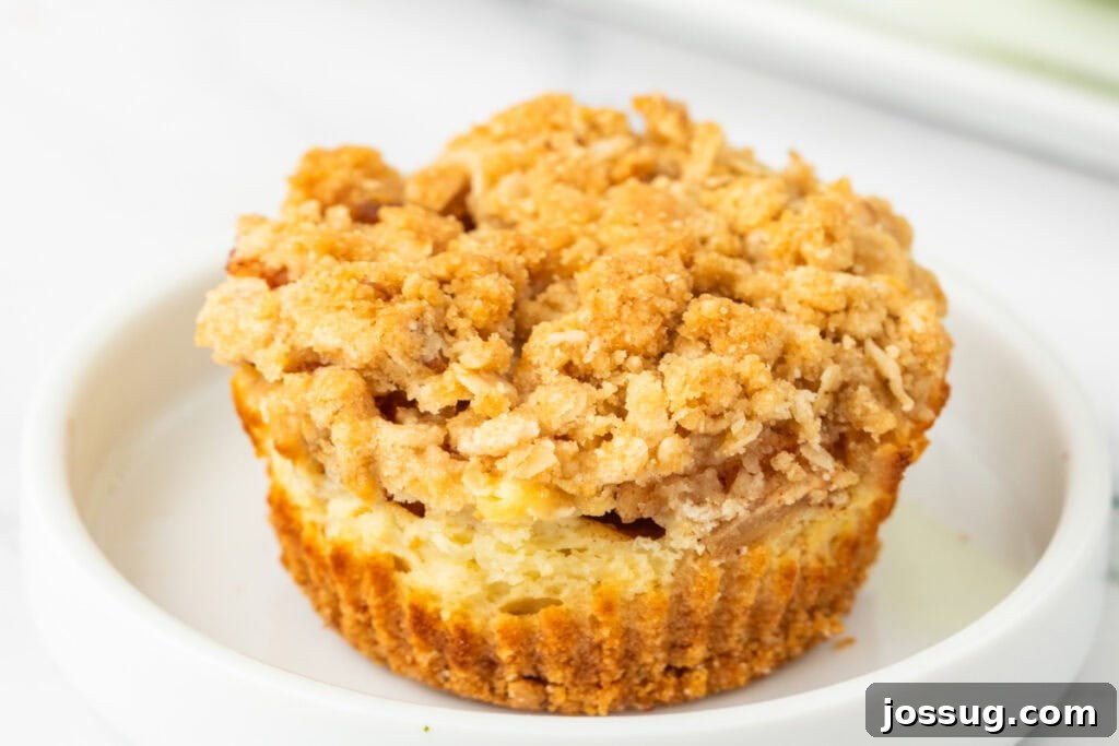 Spiced Apple Crumble Cheesecake Delights 19 A single Mini Apple Crumble Cheesecake elegantly presented on a small white dessert plate, featuring its rich, golden-brown oat topping and a visible creamy cheesecake base, invitingly ready to be enjoyed as a perfect individual treat.
