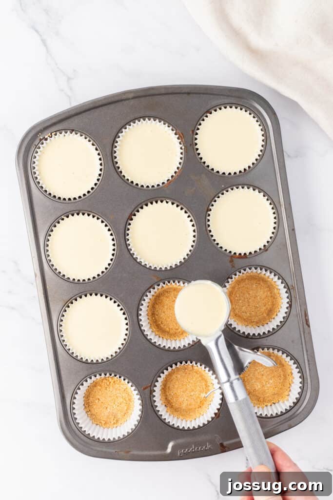 Spiced Apple Crumble Cheesecake Delights 10 A muffin pan with pre-baked graham cracker crusts, now being evenly filled with creamy cheesecake batter using an ice cream scoop to ensure consistent portions.